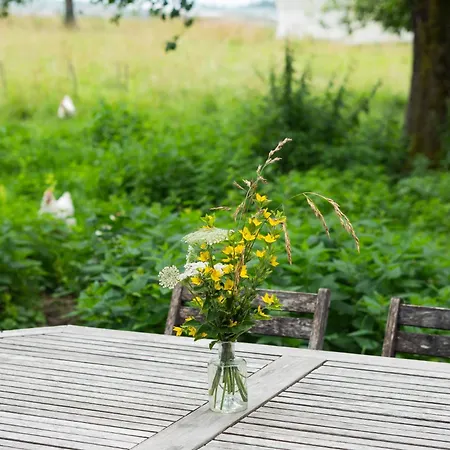 Apartment Hof Sinnenberg
