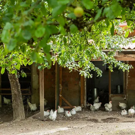 Apartment Hof Sinnenberg *