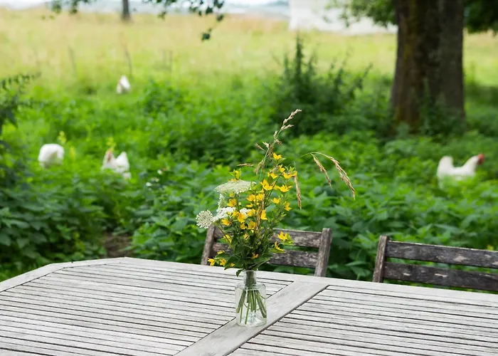 Daire Hof Sinnenberg