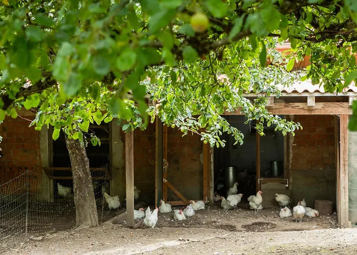 Apartament Hof Sinnenberg *